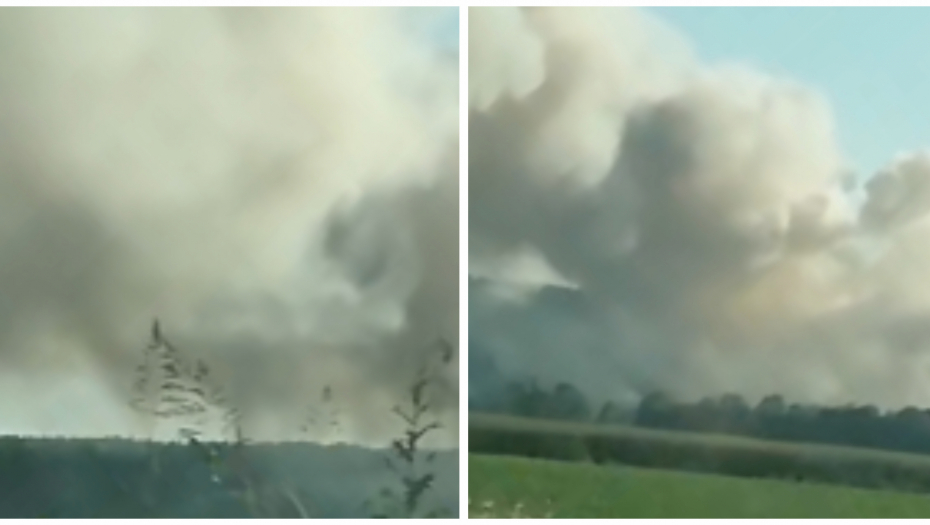 IZBIO VELIKI POŽAR KOD SREMSKE MITROVICE Ekipe vatrogasaca na terenu, aktivirani i bageri guseničari (VIDEO)