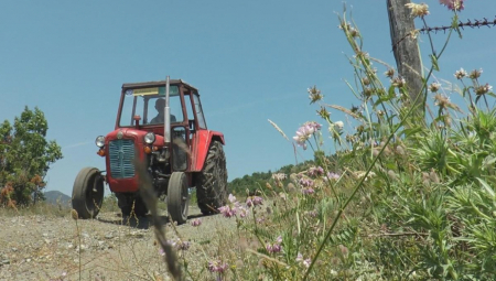 TRAGEDIJA KOD LESKOVCA Sumnja se da je izgubio kontrolu pa je sleteo sa puta u dolinu