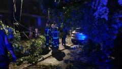 Oglasio se MUP nakon stravične oluje koja je pogodila Srbiju (FOTO/VIDEO)