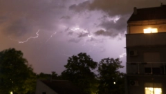 PAO I SIMBOL NOVOG SADA: Oluja očupala drvo staro više od 150 godina (FOTO)