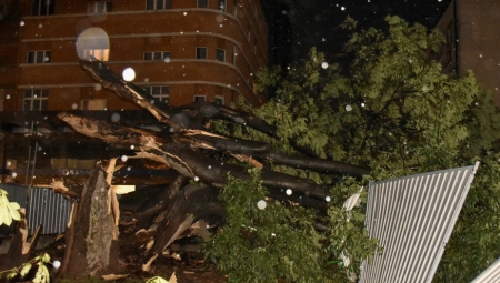"NE MOŽEMO DA VERUJEMO DA NAŠEG SINA VIŠE NEMA" Reči majke nastradalog deteta u Novom Sadu slamaju srce