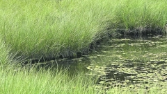 STRAŠNE LEGENDE Misteriozno mesto na vrhu Golije (FOTO)