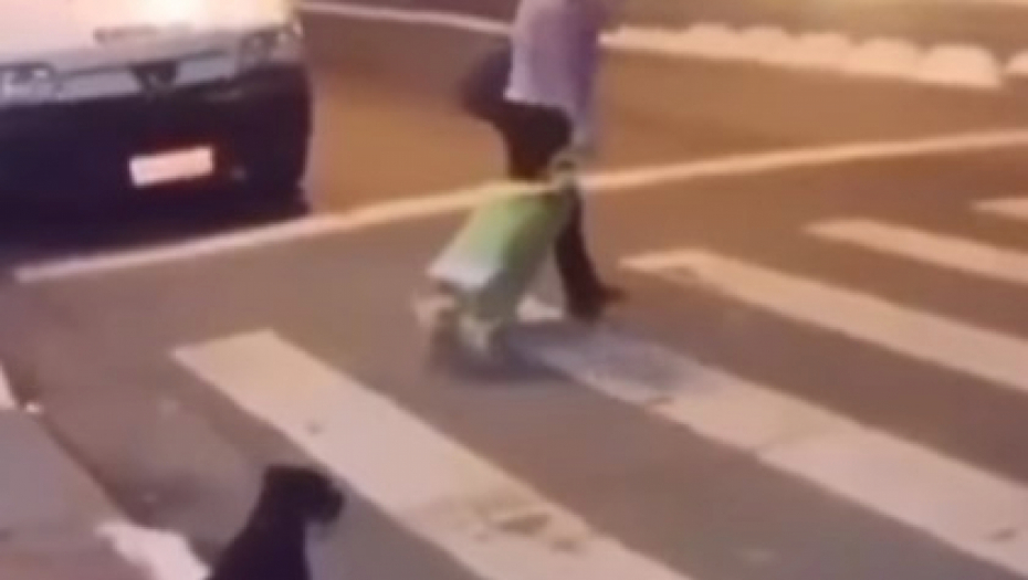 GOSPOĐO, KO JE VAS DRESIRAO Urnebesan snimak žene koja pretrčava ulicu i psa koji čeka "zeleno" izazvao buru komentara