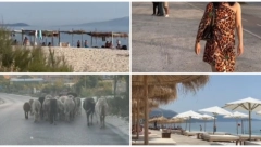 HRVATSKA TIKTOKERKA ŽESTOKO OPLELA PO ALBANSKOM LETOVALIŠTU Ponuda je katastrofa, plaže nisu kao na Insagramu "Katastrofa tek kakav nas je auto zatekao"