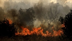 UPOZORENJE! OVIM DELOVIMA EVROPE PRETE NOVI POŽARI Stručnjaci zabrinuti zbog novih toplotnih talasa