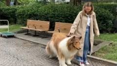 DA LI JE OVAJ ČOVEK REALAN Oduvek je želeo da postane životinja, sad u basnoslovno skupom kostimu juri ulicama, njuška sve živo...