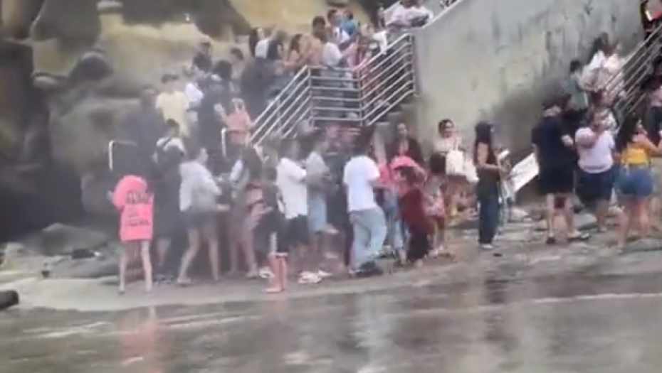 LJUTE MORSKE ZVERI RASTERALE KUPAČE Ljudi u panici beže glavom bez obzira (VIDEO)