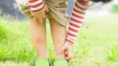 ZAŠTO NIKADA NE SMETE DA ČEPRKATE MESTO UBODA KOMARCA Lekari OTKRILI užasne posledice