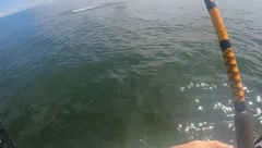 KRVOLOČNA ZVER NAPALA TINEJDŽERA Užasna scena na moru