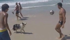 KAKO OVO RADI? Pas oduševio sve prisutne svojim umećem sa loptom (VIDEO)