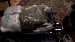 MALOLETNICA PRENOSILA DROGU Policija u stanu zaplenila oko 20 kilograma marihuane