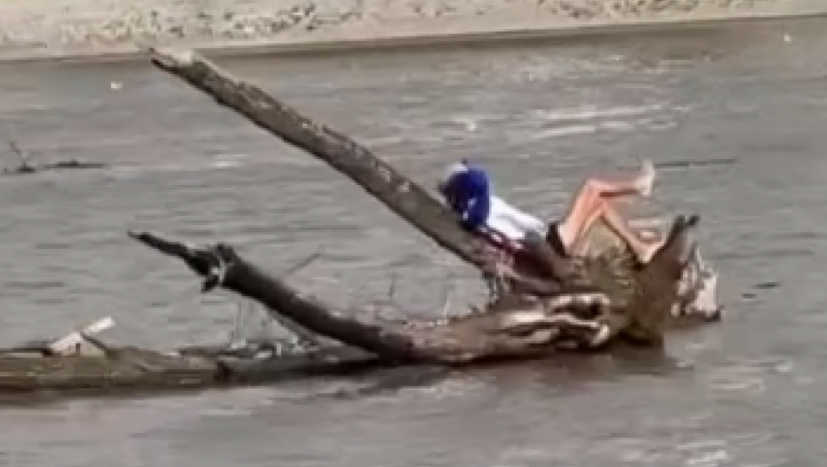 KO NEMA ČAMAC, MOŽE I DRVO Nesvakidašnja scena zabeležena je danas u Beogradu (VIDEO)