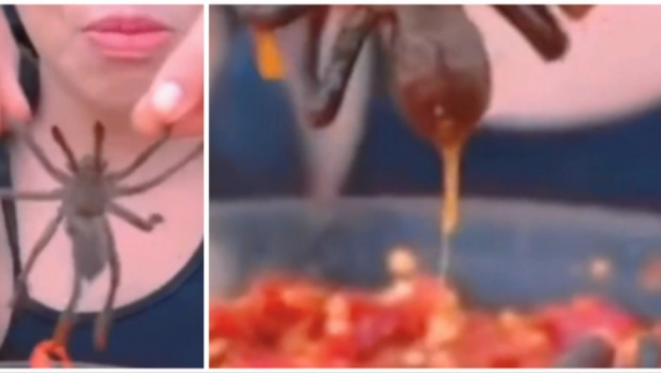 SVI SU ZGROŽENI OVIM SNIMKOM Devojka pojela živog pauka (VIDEO)