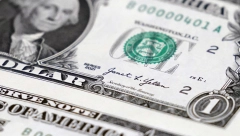 Čuveni srpski zet progovorio o prognozama i iznenadio sve: "Dolar će na kraju nestati"