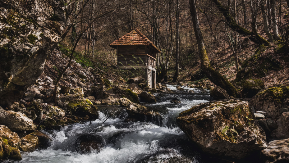 OVU VODENICU I DALJE ČUVA ORIGINALNI SRPSKI VAMPIR! U mrklom mraku i uz huk planinskog potoka, vodeničar zanoćeva sa slikom Save Savanovića