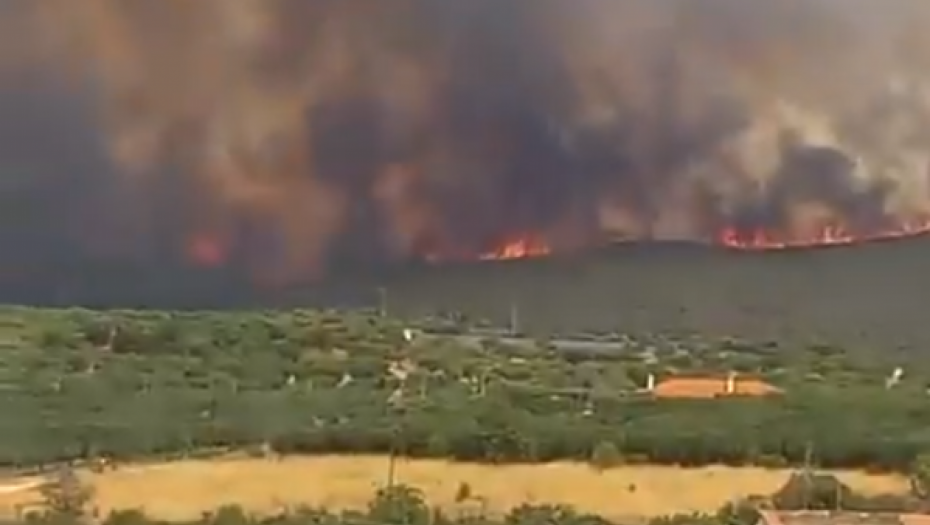 GORI OMILJENO LETOVALIŠTE SRBA Vatrogasci zajedno sa meštanima pokušavaju da ugase vatru (VIDEO)