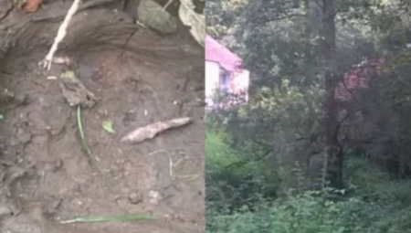 OPASNA ZVERKA PROŠETALA PORED KUĆA U KOSJERIĆU Ljudi su videli ogromne šape "Ovo je prvi put"