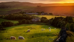 OD STAROG AMBARA NAPRAVIO NEŠTO O ČEMU SVI PRIČAJU Šumadinac odlučio da ne poruši dedovinu već da je potpuno transformiše (FOTO)