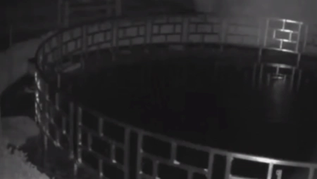 LOPOV SE UŠUNJAO U HOTEL I UKRAO PRAVU DRAGOCENOST Kamere sve zabeležile (VIDEO)