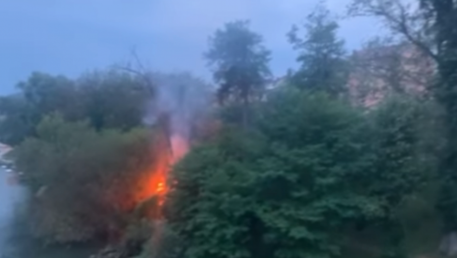 POŽAR U BANJALUCI Vatra planula na obali Vrbasa (VIDEO)
