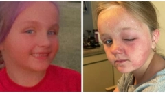 "MOJA ĆERKA NIJE MOGLA DA DIŠE I GOVORI KADA JE POMIRISALA" Oprez! Ova biljka je veoma opasna, a u Srbiji raste na svakom ćošku (FOTO)