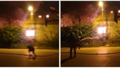 GORI KUĆA KOD ALIBUNARA Vatrogasci na terenu