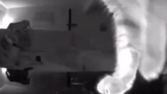 HIT SNIMAK SA TVITERA! MAČKA "OCINKARILA" PSA Pomerila kameru i pokazala vlasnicima šta on radi dok oni nisu kod kuće (VIDEO)