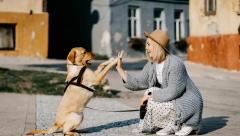OVE SIGNALE NE SMETE IGNORISATI Evo šta znači kad pas na vas polože šapu