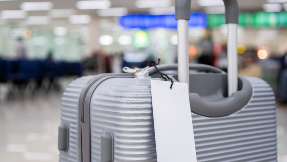 "NEMA CIMANJA SA BIROKRATIJOM, ALI SE SVE KAŽNJAVA" Gastarbajteri otkrili prednosti i mane života van Srbije