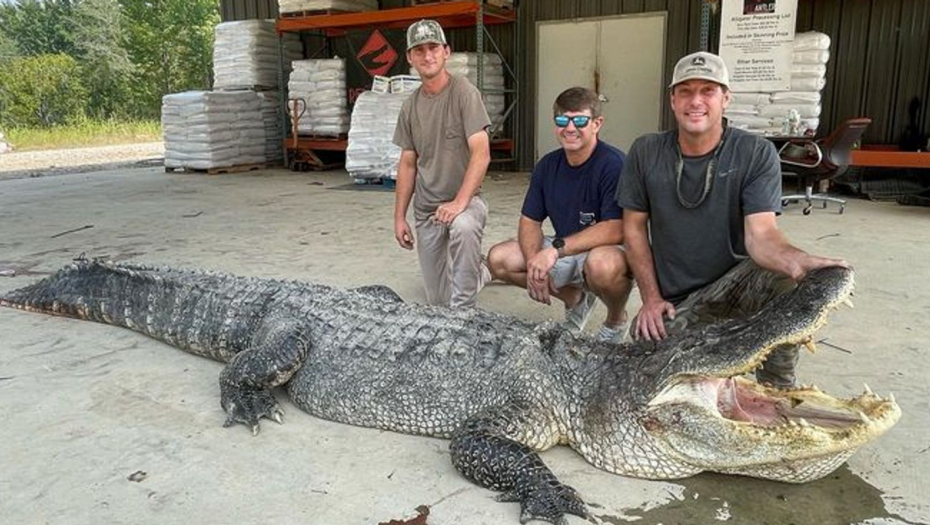 ULOVLJEN NAJVEĆI ALIGATOR IKADA Lovci savladali rečnog monstruma: Borba je trajala cele noći
