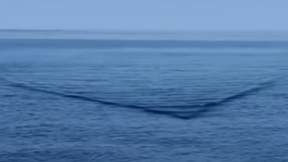 NEVEROVATNO, PRONAĐENO JE MORSKO ČUDOVIŠTE SA 3 OKA Ovo se viđa samo jednom u životu i jezivo je