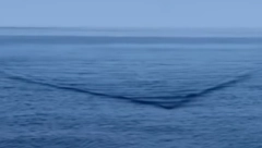 NEVEROVATNO, PRONAĐENO JE MORSKO ČUDOVIŠTE SA 3 OKA Ovo se viđa samo jednom u životu i jezivo je