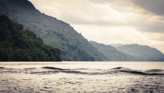 BRITANCI IZNELI ŠOK TVRDNJU "DNK test sugeriše da je poznato čudovište možda zasnovano na alagama"