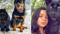 SPASIŠ MAČENCE...Majka ga ostavila da ugine u žbunju, a onda su se pojavile njih dve