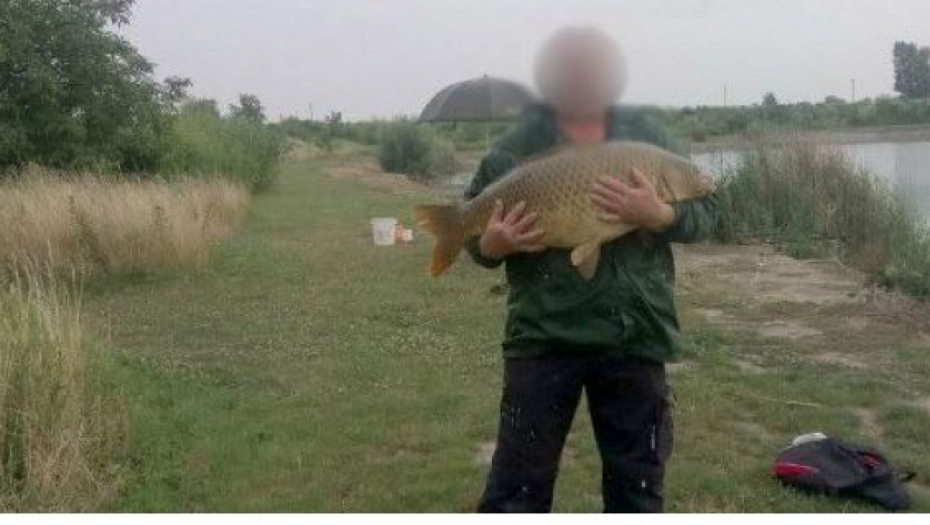 HOROR U VLAŠKOM DOLU Upucala muža, pa ga isteterisala!?
