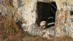MISTERIOZNO SELO ULIVA JEZU U KOSTI Ljudi mahom dolaze da reše jedan mučan problem, iako neki veruju da "živi neće izaći" (FOTO)