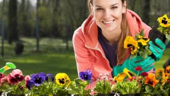 OVO CVEĆE SADI SE U OKTOBRU Ako želite da se dobro "primi", ovo morate obavezno da uradite