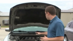 VOZAČ PODIGAO HAUBU, PA ZATEKAO ZASTRAŠUJUĆE STVORENJE "Drago nam je što je prošlo dobro“ (VIDEO)