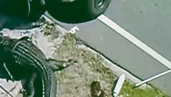 FARMER JEDVA PREŽIVEO NAPAD ALIGATORA Morao je da uradi nešto neočekivano