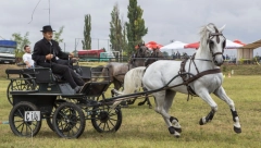 Gradonačelnik Subotice Stevan Bakić svečano otvorio 18. „Fijakerijadu“ u Novom Žedniku