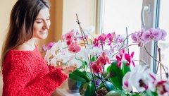 Svaka žena bi trebalo da je ima kao amajliju: Smatra se zaštitnicom doma - Zrači posebnom energijom