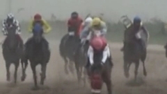 TRAGIČNE VESTI SA BEOGRADSKOG HIPODROMA Eutanaziran konj koji je pao preko džokeja i slomio nogu