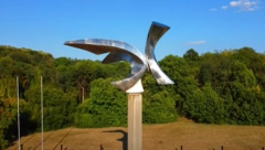 NEMAČKI GENOCID U SRBIJI Strelište u Jajincima - najveće mesto egzekucije