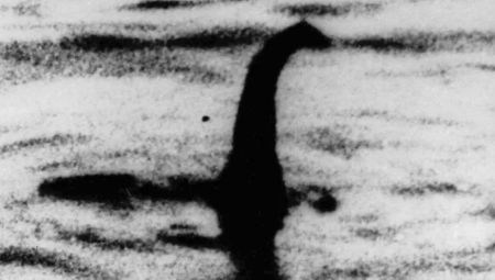 KREĆE LOV NA MISTERIOZNU ZVER! Najveći pohod u poslednjih 50 godina