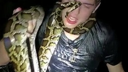 ZMIJE GA GRIZU, A ON U TOME UŽIVA Društvene mreže se usijale zbog njegovih snimaka: Zašto to radiš? (VIDEO)