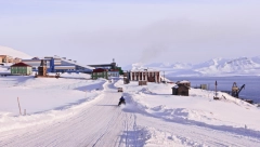 KAKO IZGLEDA ŽIVOT NA SEVERNOM POLU? Jede se sirovo meso belog kita, a temperatura pada do -40!