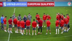 VAŽNA, ALI NE NAJBITNIJA UTAKMICA Dika Stojanović pred večerašnji okršaj Mađarske i Srbije