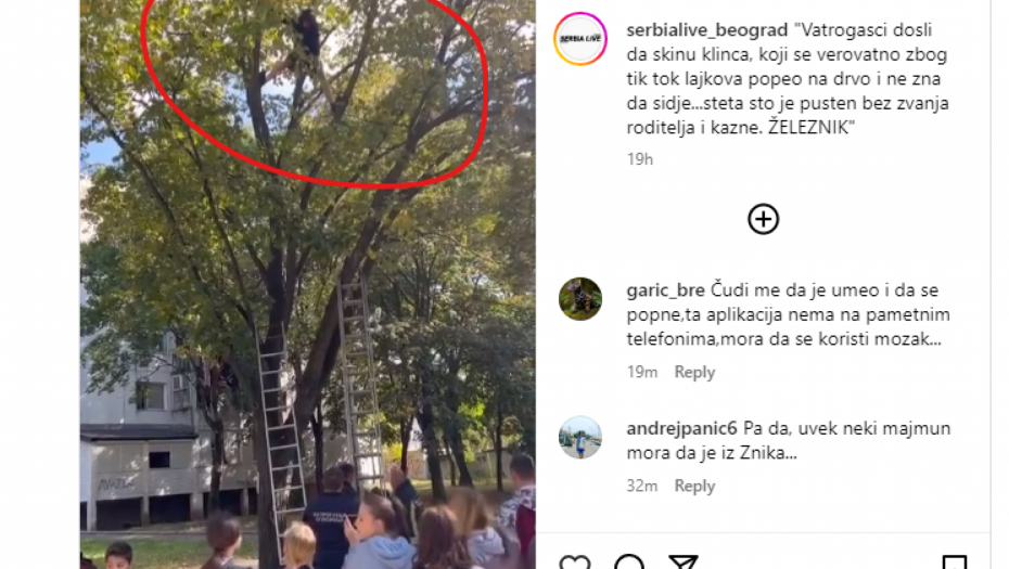 DEČAK SE ZAGLAVIO NA VRHU DRVETA ZBOG TIK TOKA?! Vatrogasci morali da intervenišu zbog njegovih lajkova