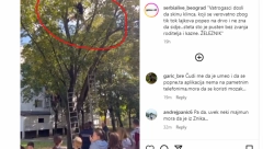 DEČAK SE ZAGLAVIO NA VRHU DRVETA ZBOG TIK TOKA?! Vatrogasci morali da intervenišu zbog njegovih lajkova