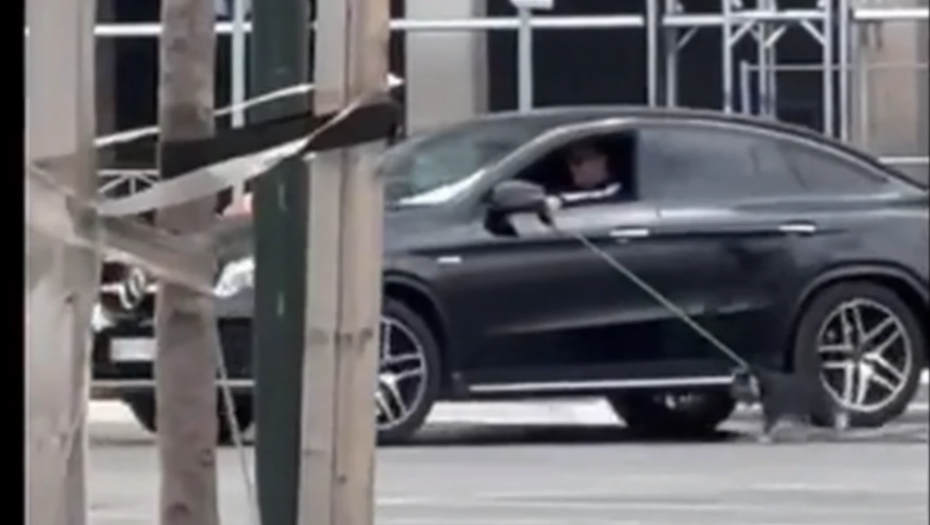 "SRAMOTA, ODUZMITE MU PSA" Životinja juri za automobilom, vlasnik zgrozio javnost, društvene mreže se usijale zbog situacije u Beogradu (VIDEO)